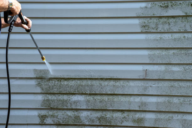 Best Attic Cleanout  in Edgar, WI
